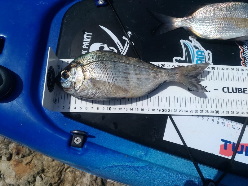 Fish Measure Picture